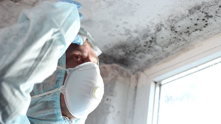 Best Black Mold Removal  in Florence, CO